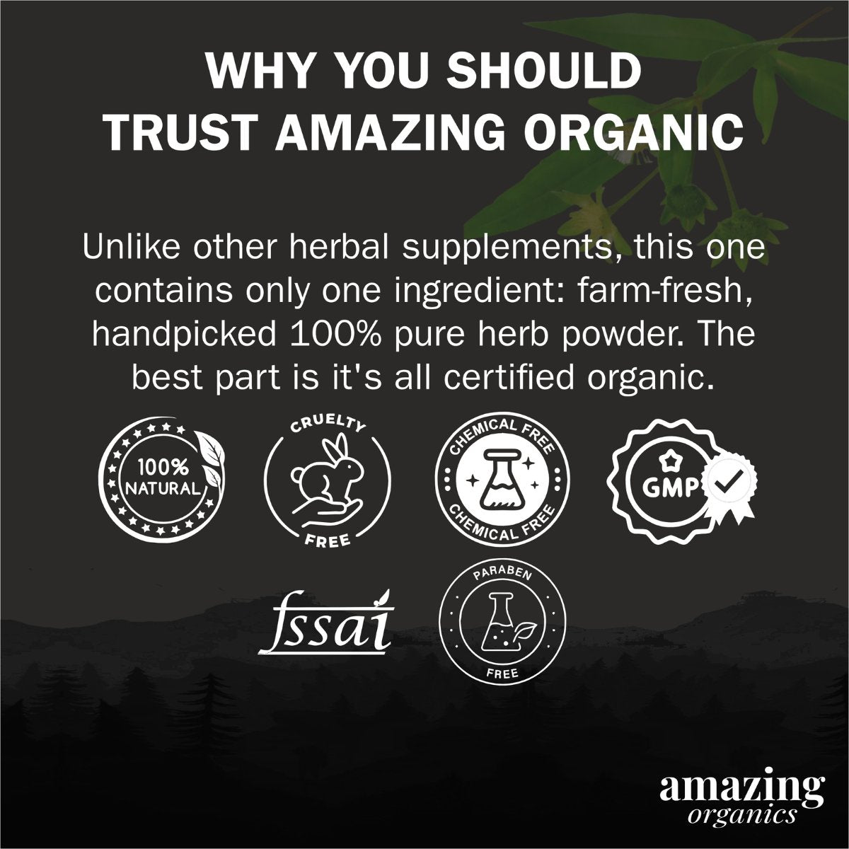 Pure Bhringraj Powder 100 Grams | Pure Bhringaraj Eclipta Alba Powder