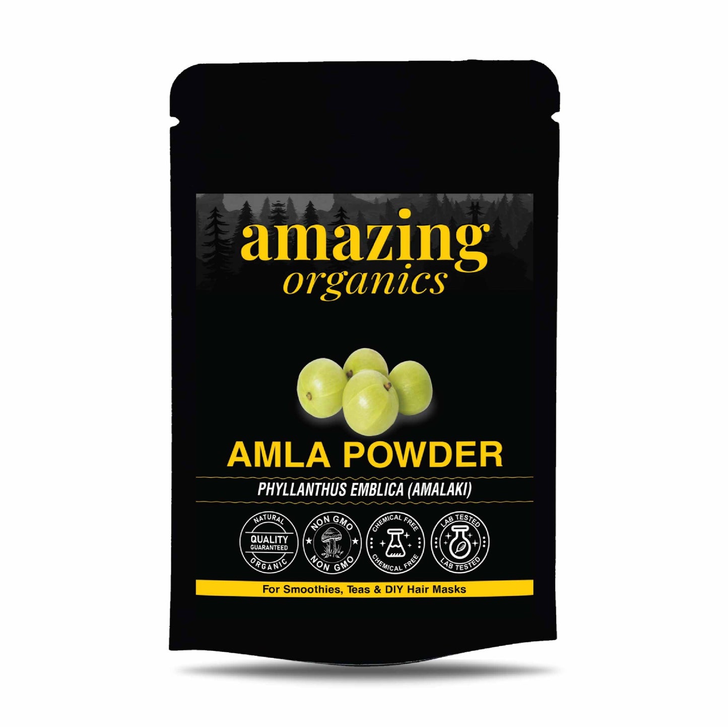 Organic Amla Powder for Skin