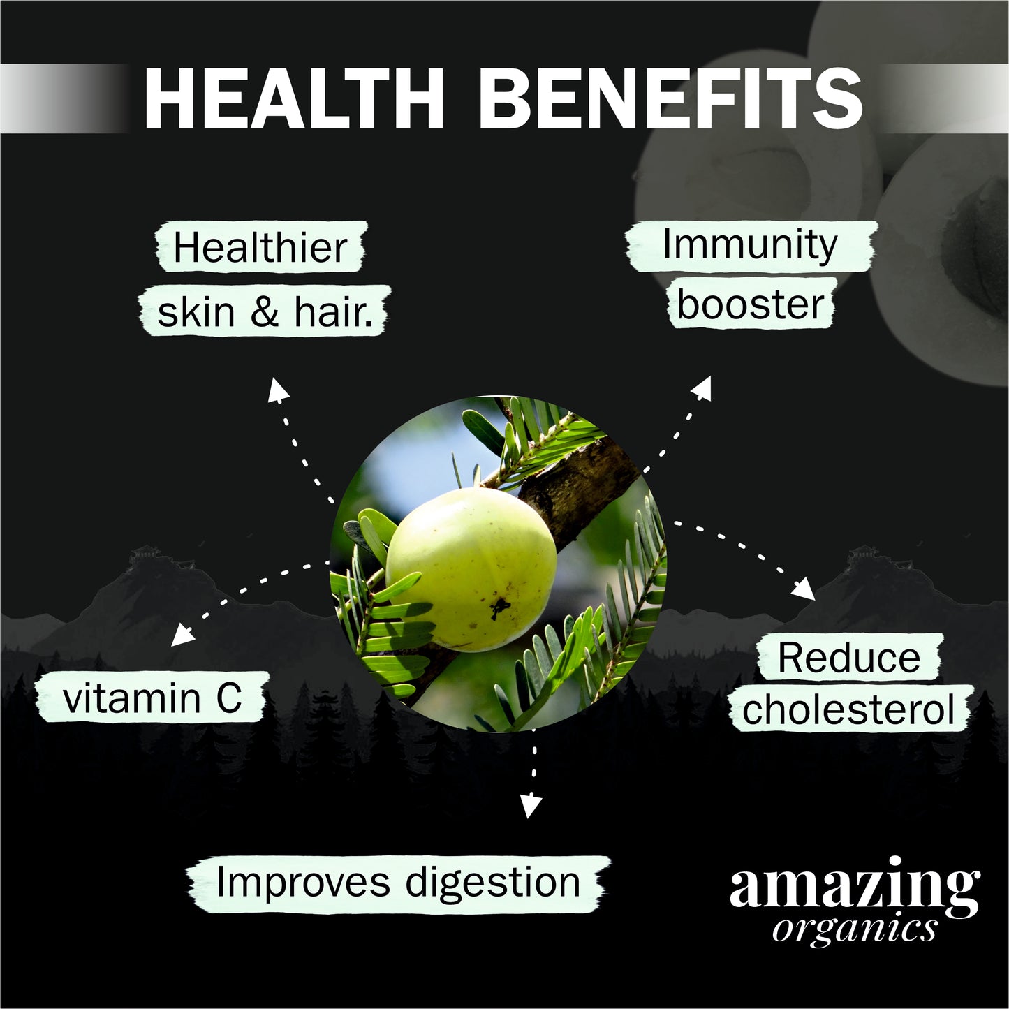 Organic Amla Powder for Skin