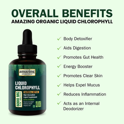 Liquid Chlorophyll Drops - Organic Chlorophyll - Natural Energy Boost