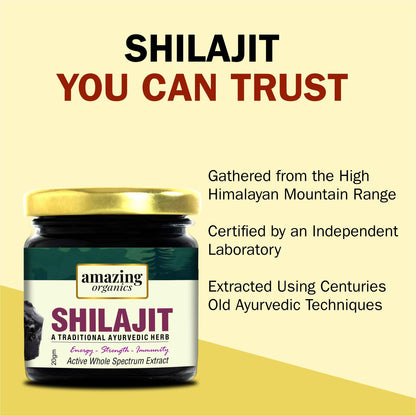 Pure Himalayan Shilajit Resin 2 Month Supply