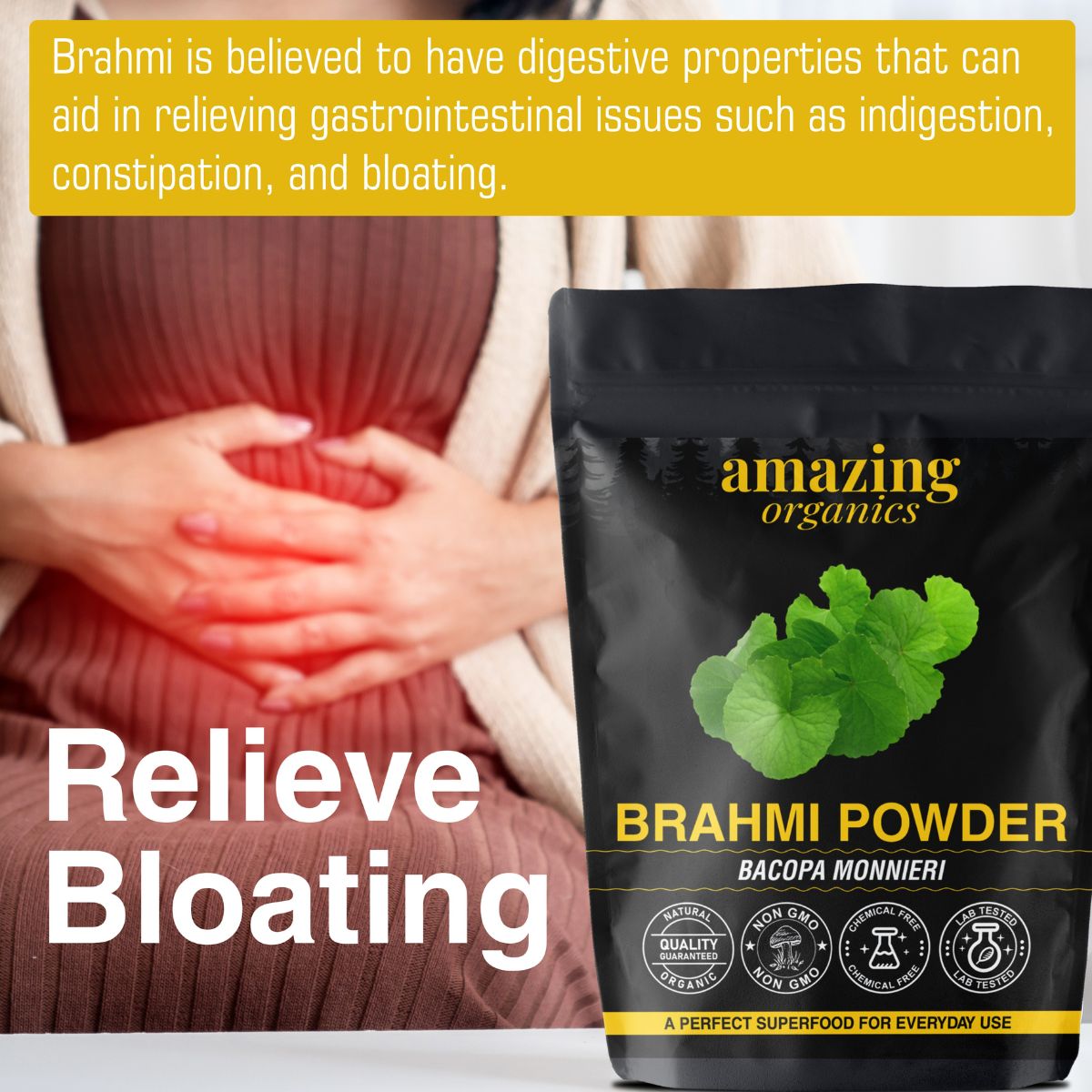 Brahmi Powder