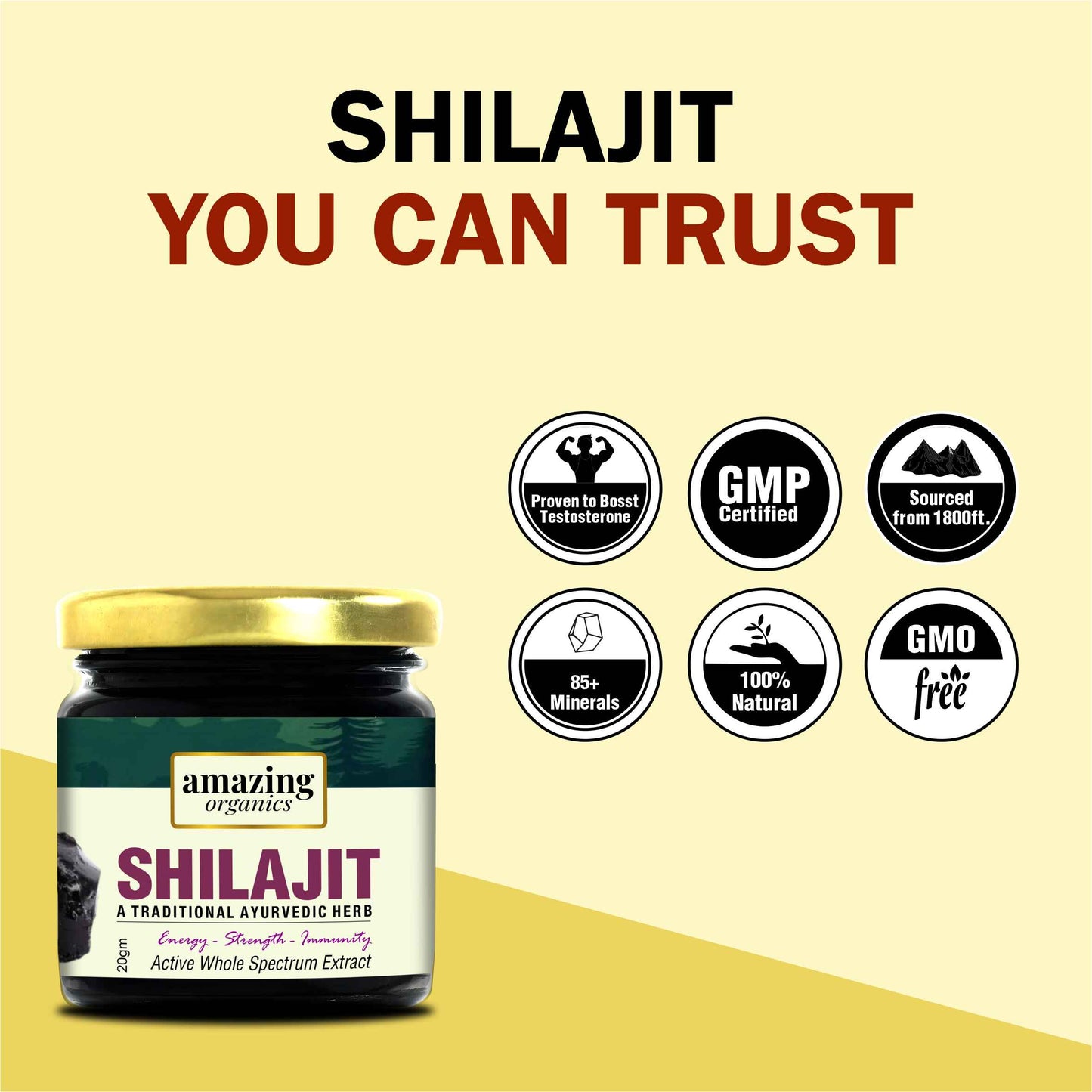 Pure Himalayan Shilajit Resin 2 Month Supply