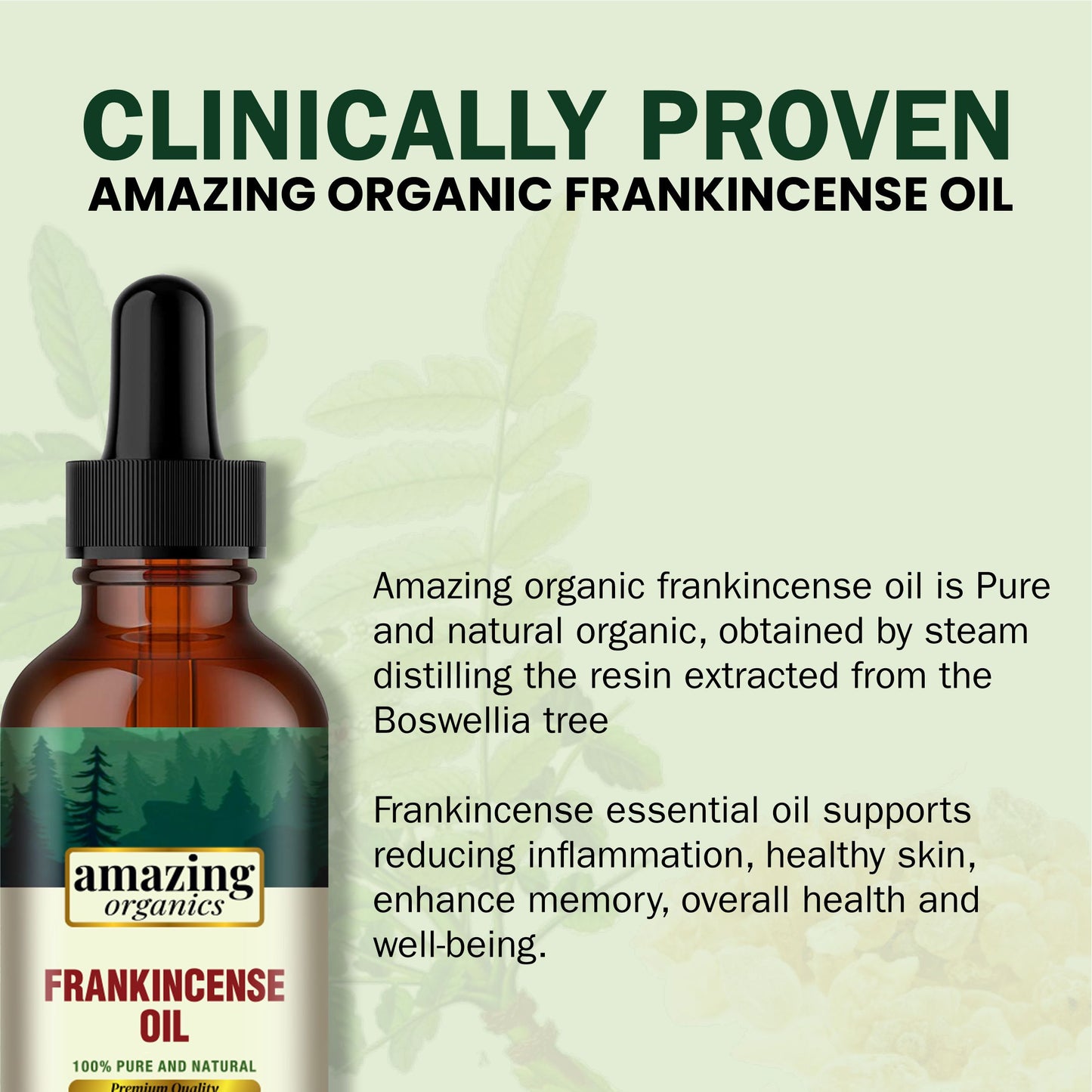 Frankincense Essential Oil