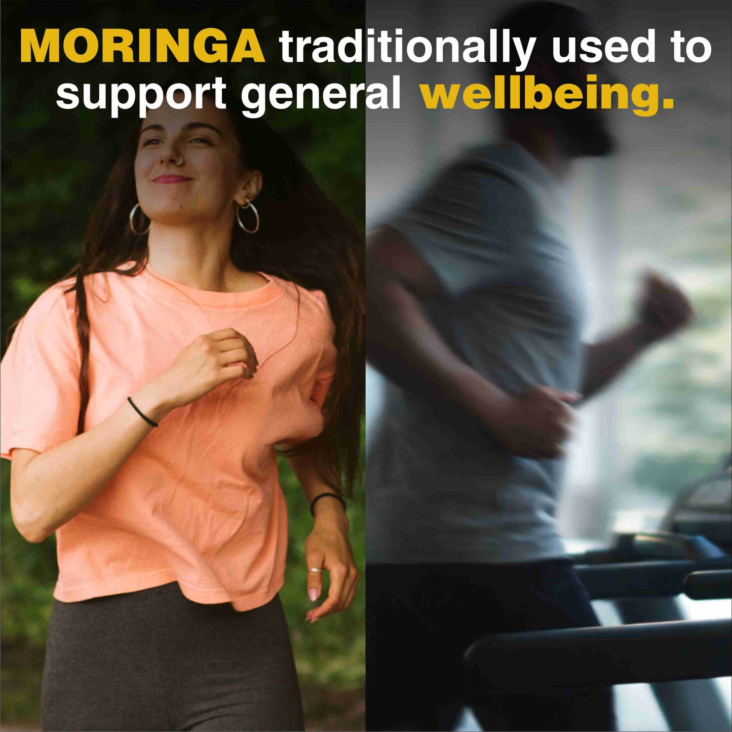 Moringa Powder