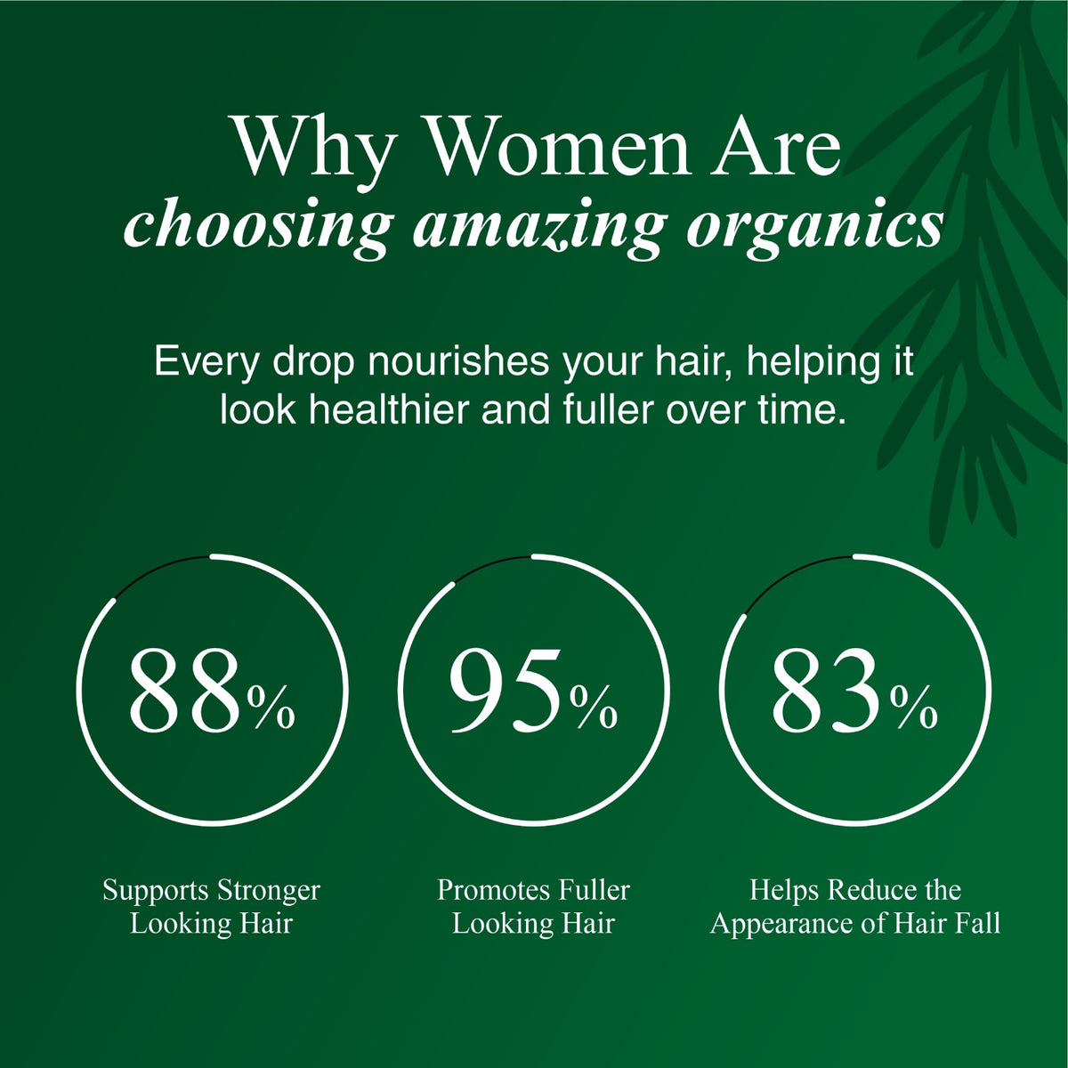 Rosemary & Castor Hair Oil
