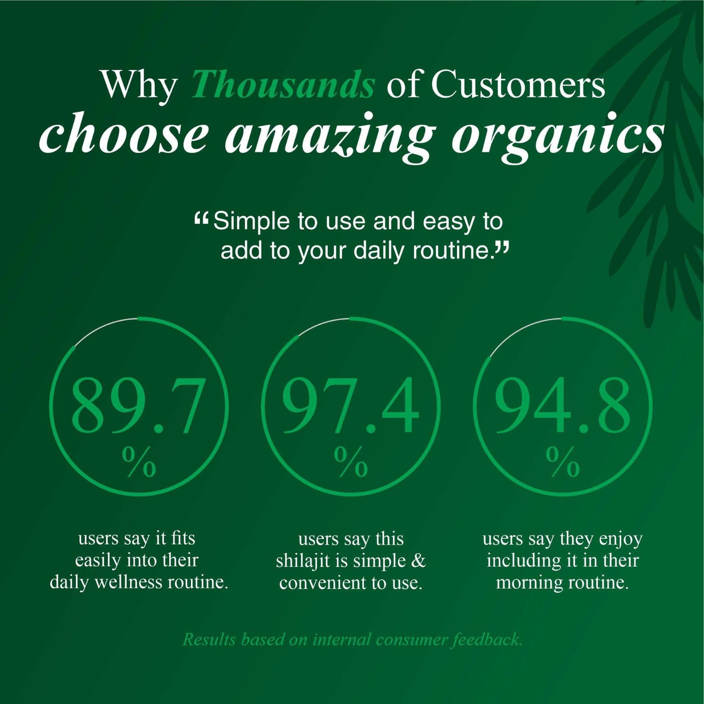 Himalayan Shilajit Resin 3 Month Supply