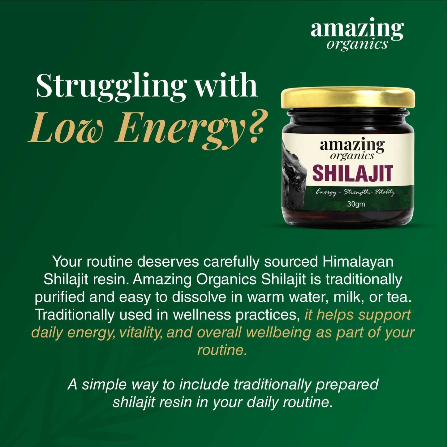 Himalayan Shilajit Resin 3 Month Supply