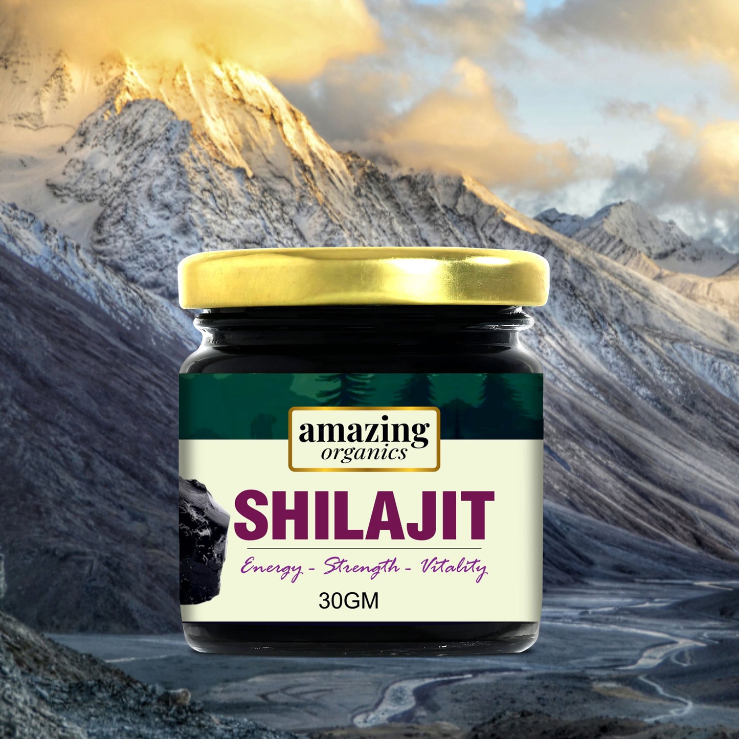 Himalayan Shilajit Resin 3 Month Supply