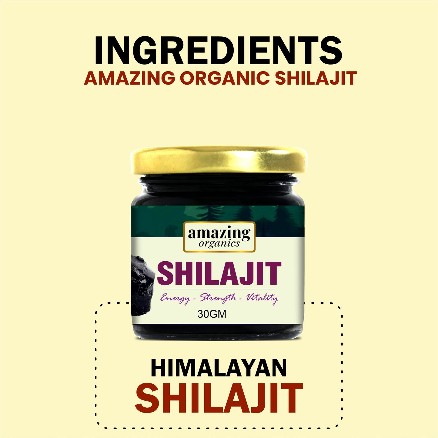 Himalayan Shilajit Resin 3 Month Supply