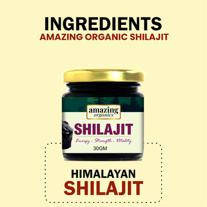 Himalayan Shilajit Resin 3 Month Supply