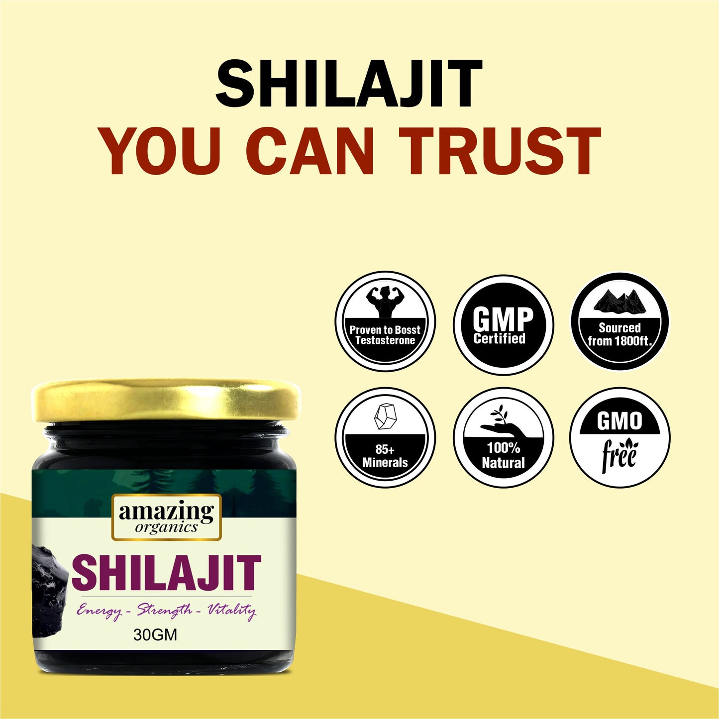 Himalayan Shilajit Resin 3 Month Supply