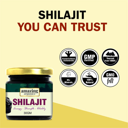 Himalayan Shilajit Resin 3 Month Supply
