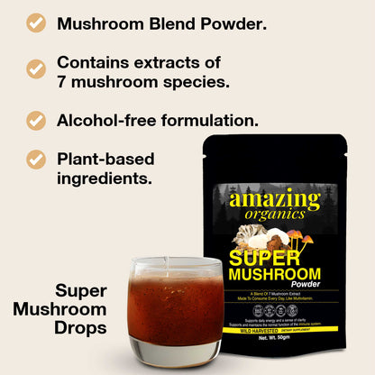 Super Mushroom Powder