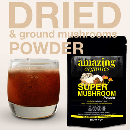 Super Mushroom Powder