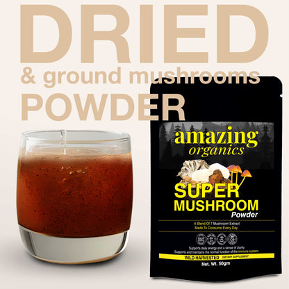 Super Mushroom Powder