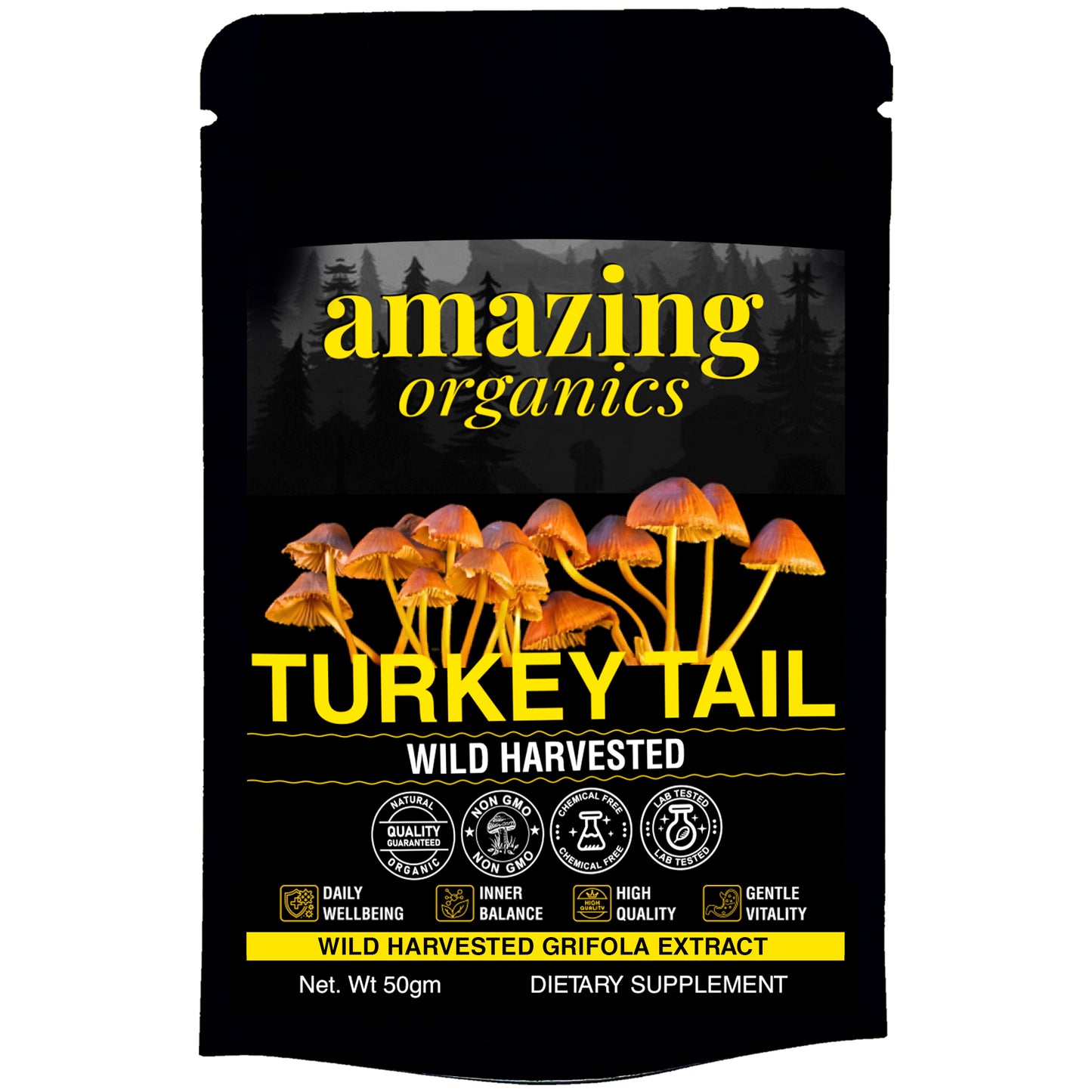 Turkey Tail Mushroom Powder