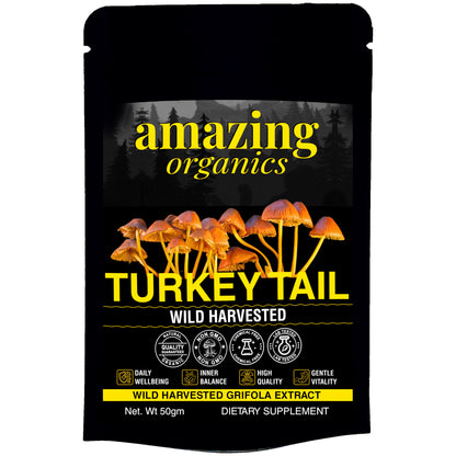 Turkey Tail Mushroom Powder