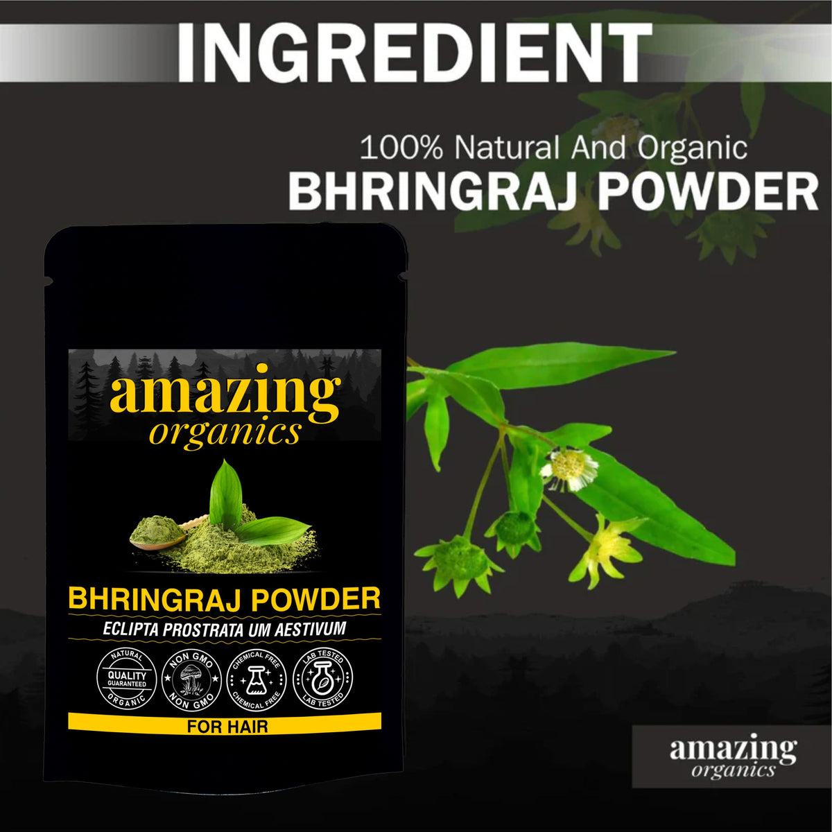 Pure Bhringraj Powder 100 Grams | Pure Bhringaraj Eclipta Alba Powder