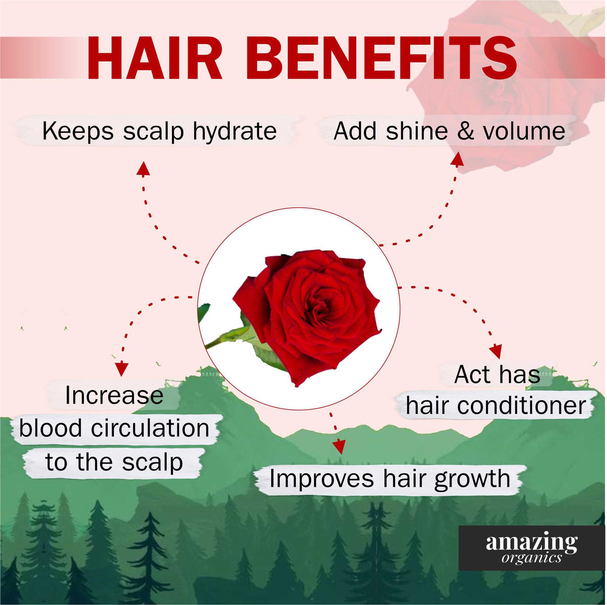 Organic Rose Petal Powder for Skin, Hair &amp; Health | Chemical Free | GMO free