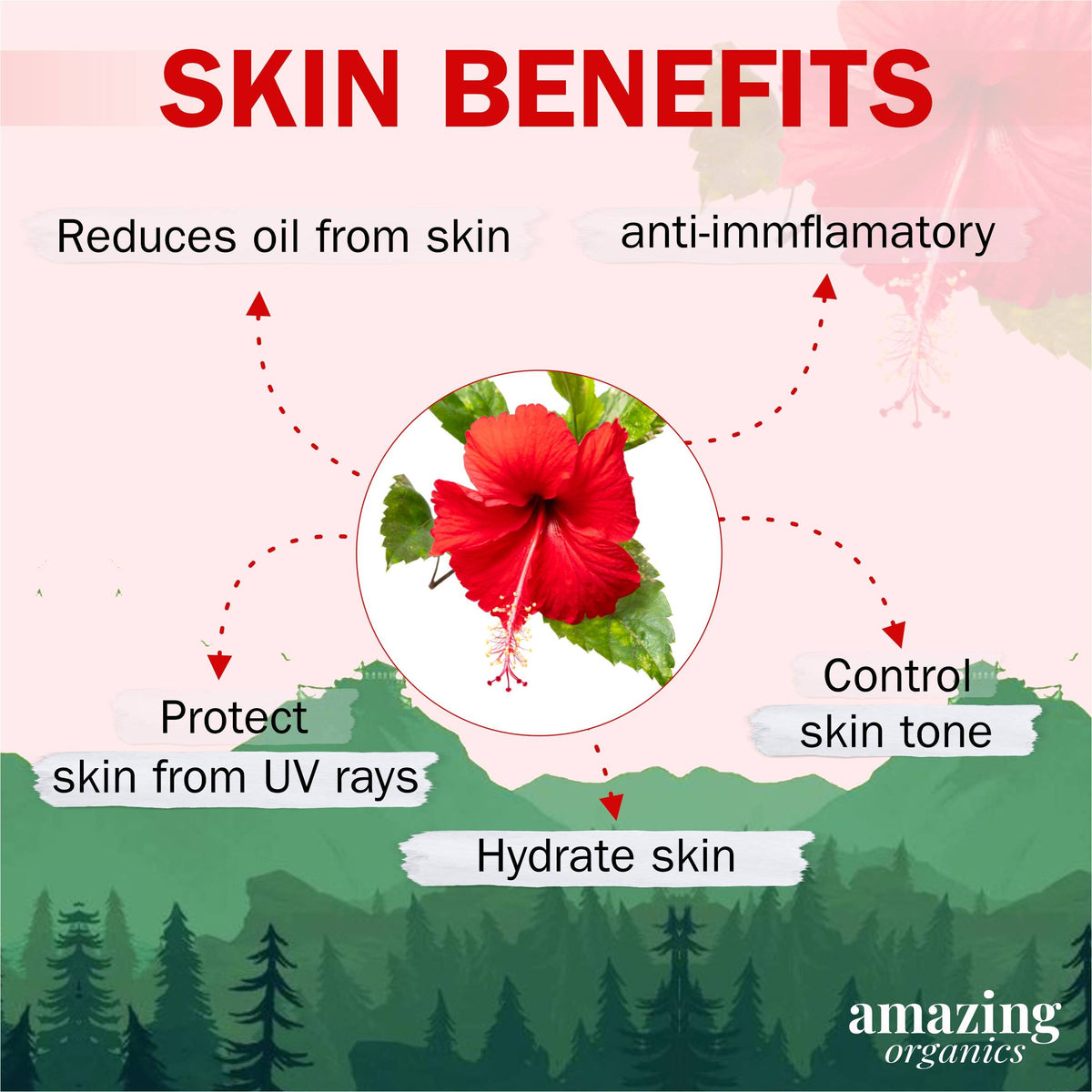 Hibiscus Powder for Hair and Skin Care