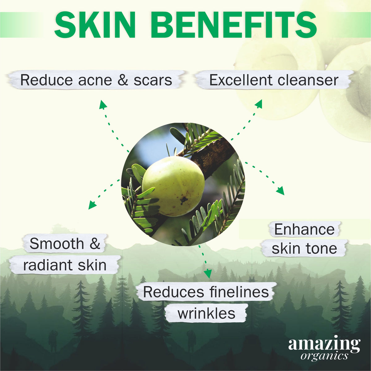 Organic Amla Powder for Skin
