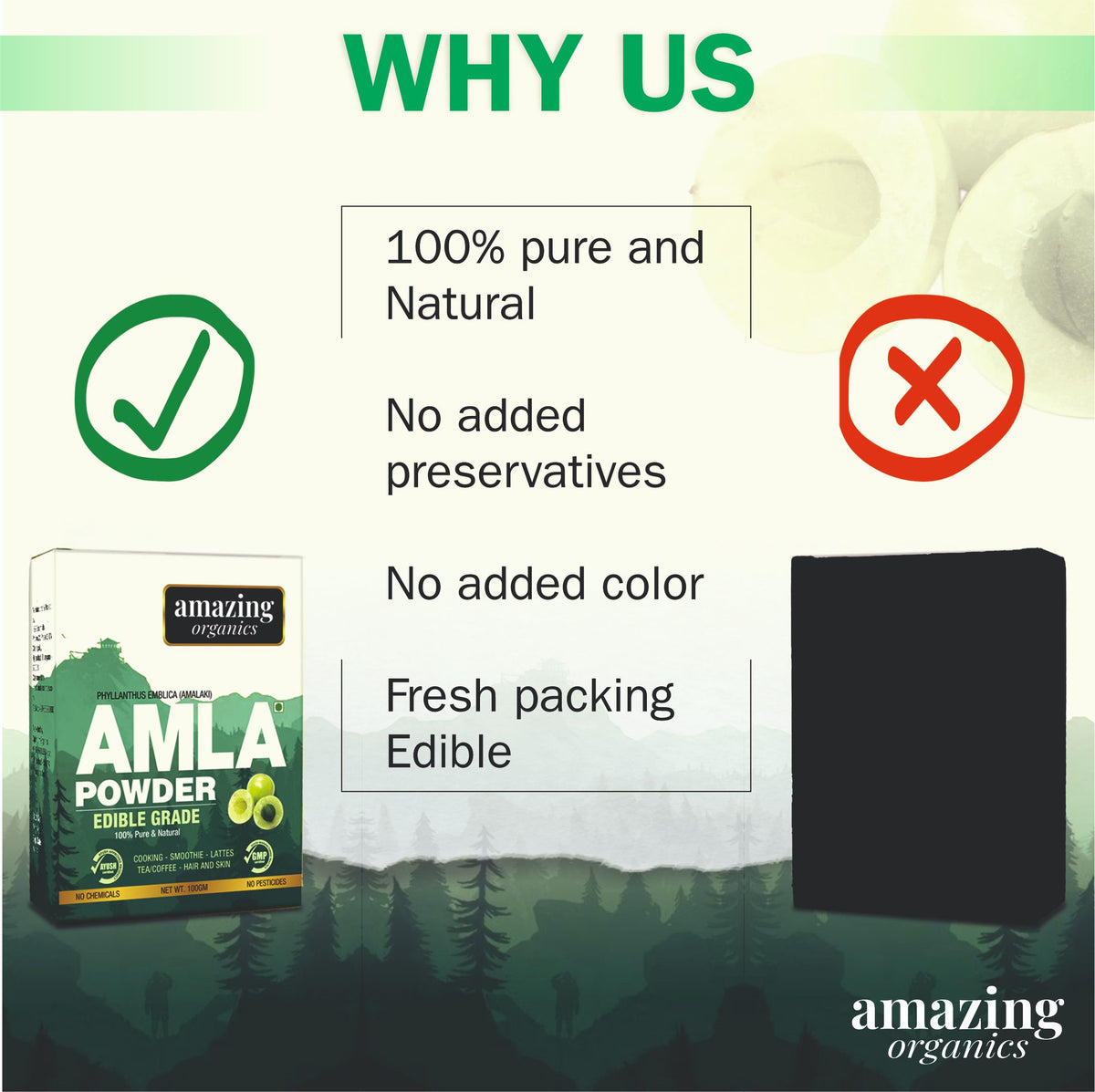 Organic Amla Powder for Skin